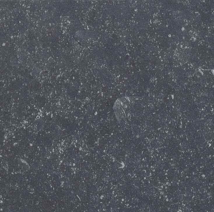 ba_lvtstone_bluestonenatural_612x612_734x730_acf_cropped.jpg