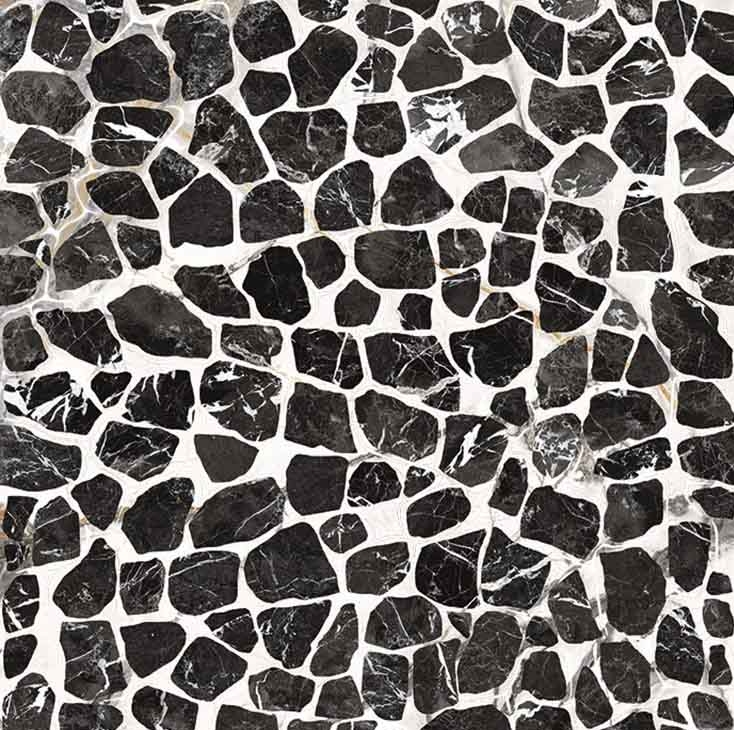 imola_theroom_turtle_120x260_734x730_acf_cropped.jpg